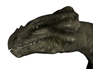 Image showing Wyvern head