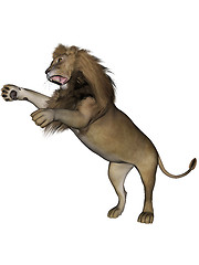 Image showing Lion male