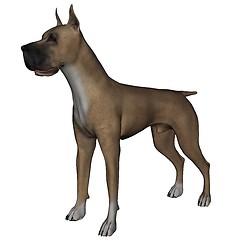 Image showing Great Dane