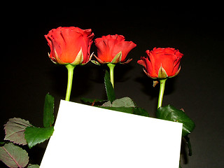 Image showing Roses with card 1