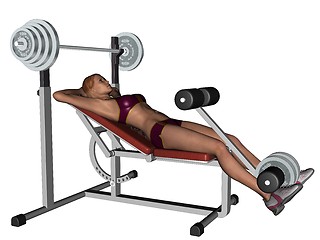 Image showing Training woman on excersise equipment