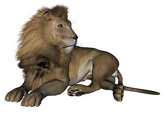 Image showing Lion male