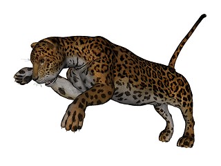 Image showing Jaguar