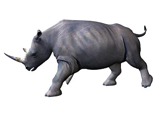Image showing Charging rhinoceros