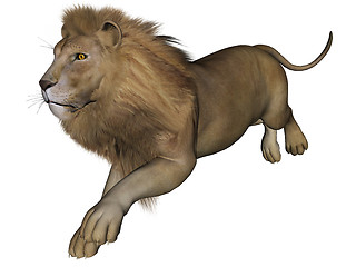 Image showing Lion male