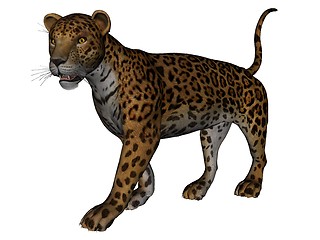 Image showing Jaguar