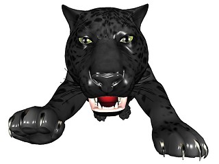 Image showing Attacking black panther