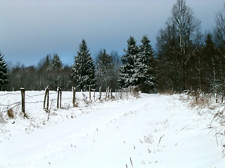 Image showing winter road near fence