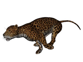 Image showing Jaguar