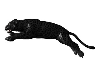 Image showing Jumping black panther