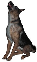 Image showing German shepherd dog