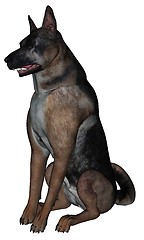 Image showing German shepherd dog