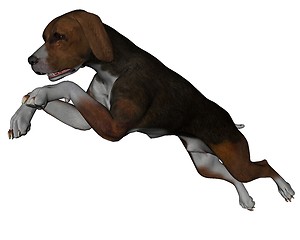 Image showing Hound