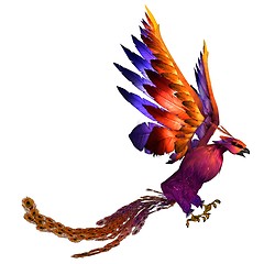 Image showing Phoenix