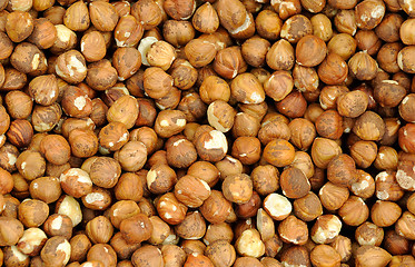 Image showing Closeup Shelled Hazelnuts