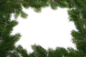 Image showing Christmas tree frame