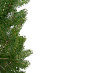 Image showing Christmas tree frame