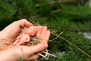 Image showing Infant