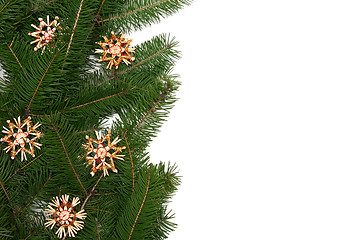 Image showing Christmas tree frame