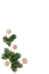 Image showing Christmas tree frame