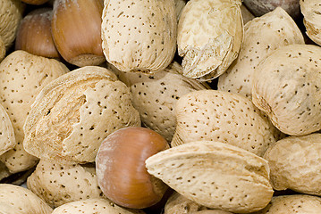 Image showing Mixed Nuts Background