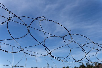 Image showing Barbed tape or razor wire fence on sky background