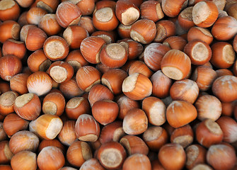 Image showing Closeup Image of Unshelled Hazelnuts