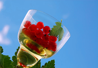 Image showing Red Currant In The Wineglass