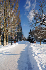 Image showing Korolev Avenue in the Town of Korolev