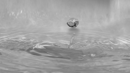 Image showing Water drop droplet