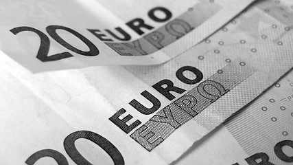 Image showing Euro notes