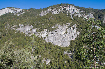 Image showing Mountain trees