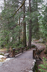 Image showing Footbridge