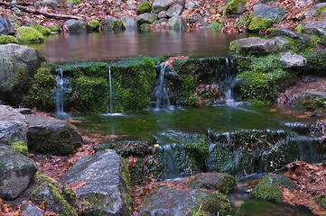 Image showing Fern Spring