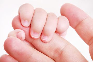 Image showing Newborn