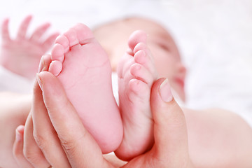 Image showing Newborn