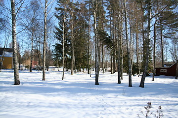 Image showing Winter in country-side