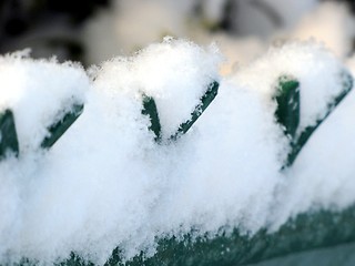 Image showing winter fence