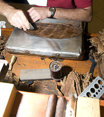 Image showing man hand rolling cigars nicaragua