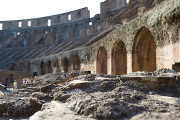 Image showing Ruins inside Colosseum