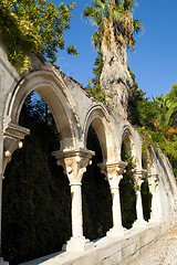 Image showing Columns and arch with palms 