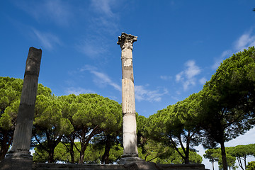 Image showing Ancient column tree and blue sky panorama