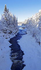 Image showing Winter wonderland