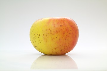 Image showing Fresh apple