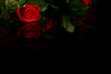 Image showing Red rose