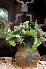 Image showing Flowerpot In The Grilled Window Background