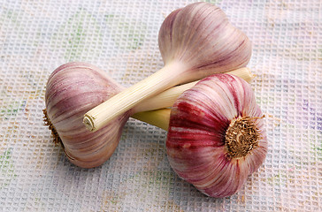 Image showing Garlic Bulbs On The Dish Towel