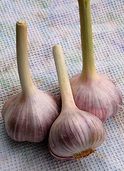 Image showing Three Garlic Bulbs On The Dish Towel