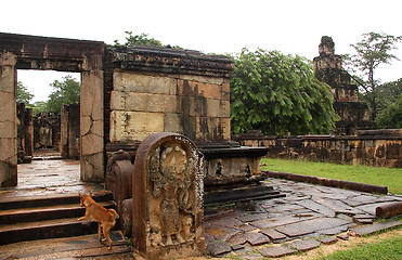 Image showing Ruins of Polonnaruwa and the Dog