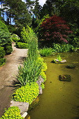 Image showing Landscaped garden path and pond